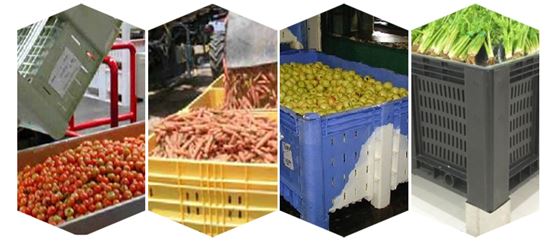 vegetable plastic pallet box