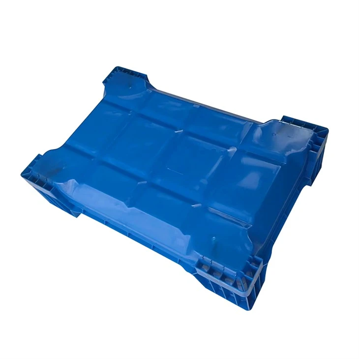 Plastic Insect Breeding Box factory
