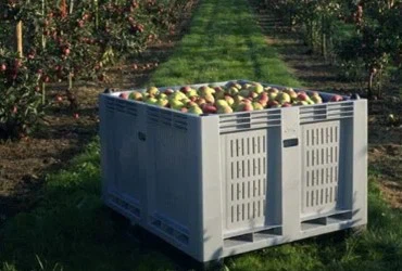 Field Harvesting and On-site Sorting in Farms Field Harvesting and On-site Sorting in Farms