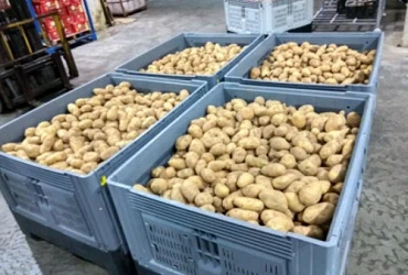 Fresh Fruits and Vegetables Logistics Storage Fresh Fruits and Vegetables Logistics Storage